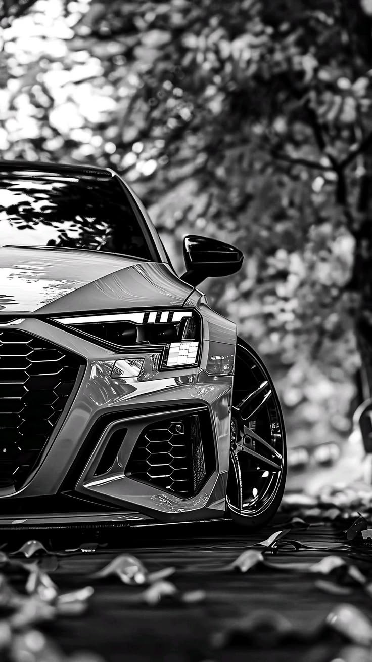 Audi RS